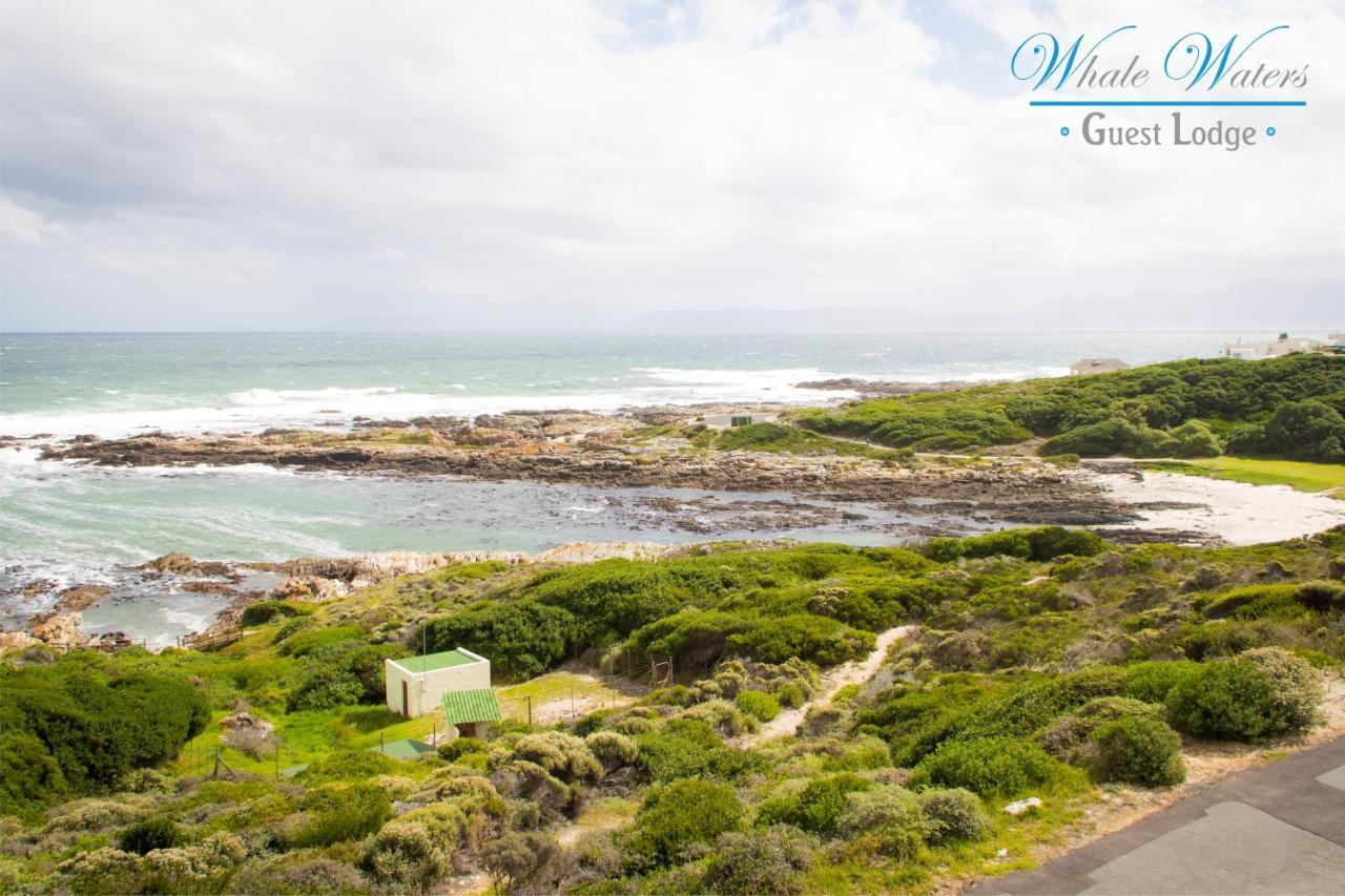 Whale Waters Self Catering Gansbaai Apartment De Kelders Luaran gambar